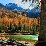 Ca' Viridi