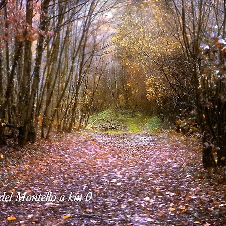 Appartement Ca' Viridi Montebelluna