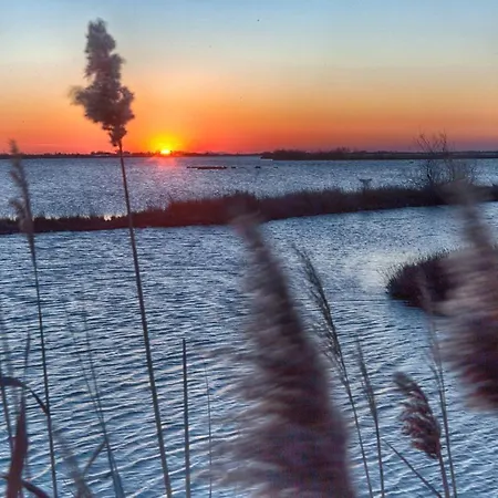 アパート Ca' Viridi