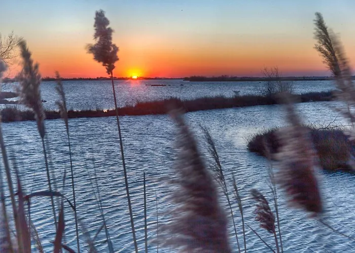 Lejlighed Ca' Viridi