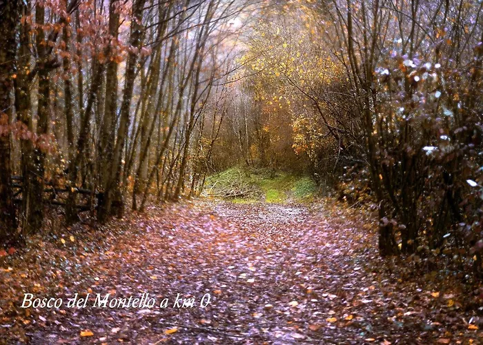 Lejlighed Ca' Viridi Montebelluna